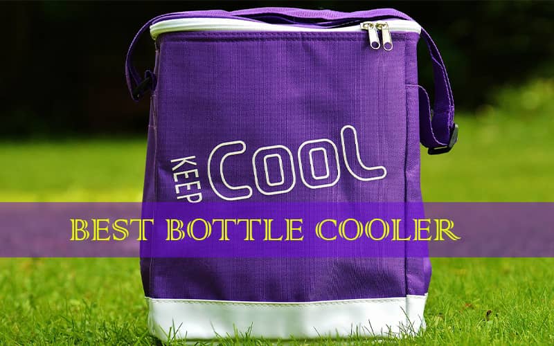 water bottle cooler bag