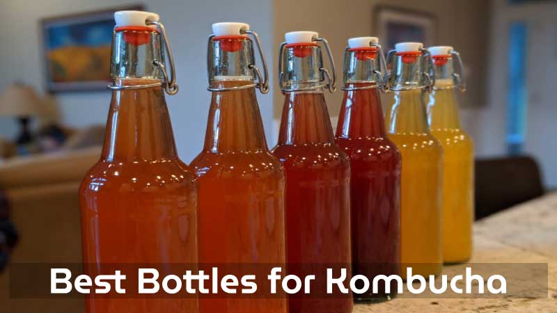 best bottles for kombucha
