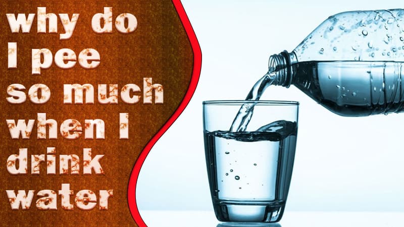 why-do-i-pee-so-much-when-i-drink-water-5-main-reasons